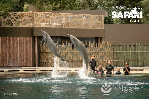 Marine Safari Bali: Adventure & Unforgettable Experiences